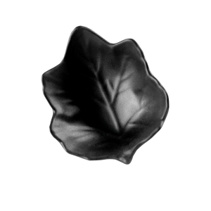 D1012NG