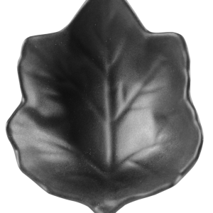 D1012NG