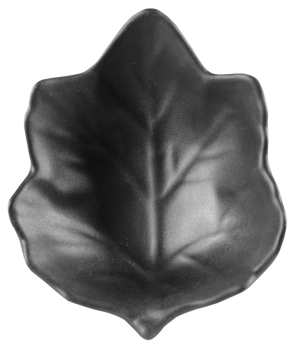 D1012NG