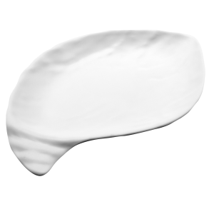 P1111BL