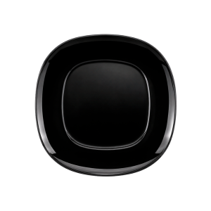 P1011NG